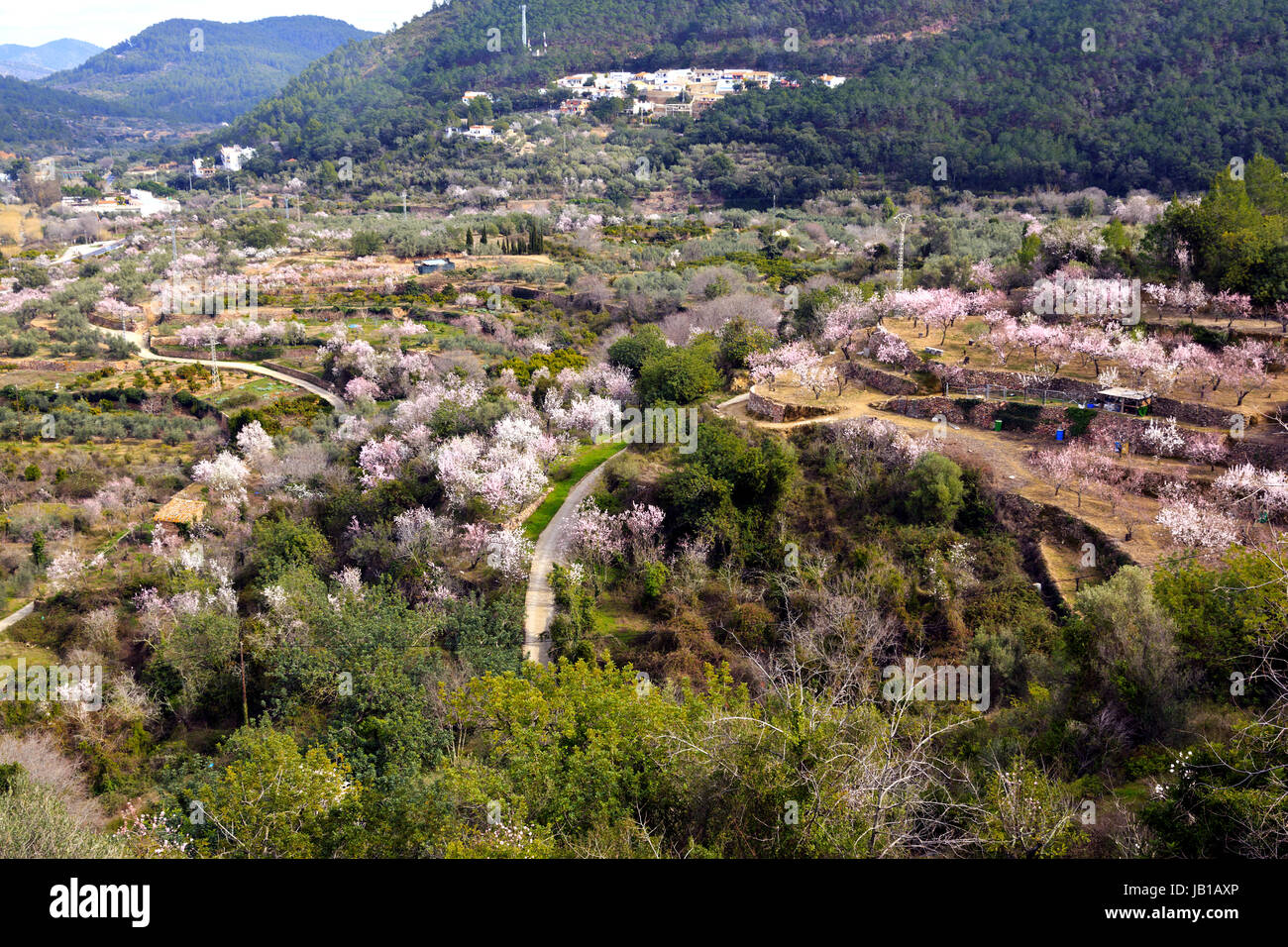 Almond grove hires stock photography and images Alamy