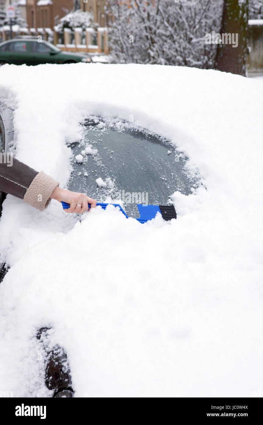 remove snow from windshield Stock Photo Alamy