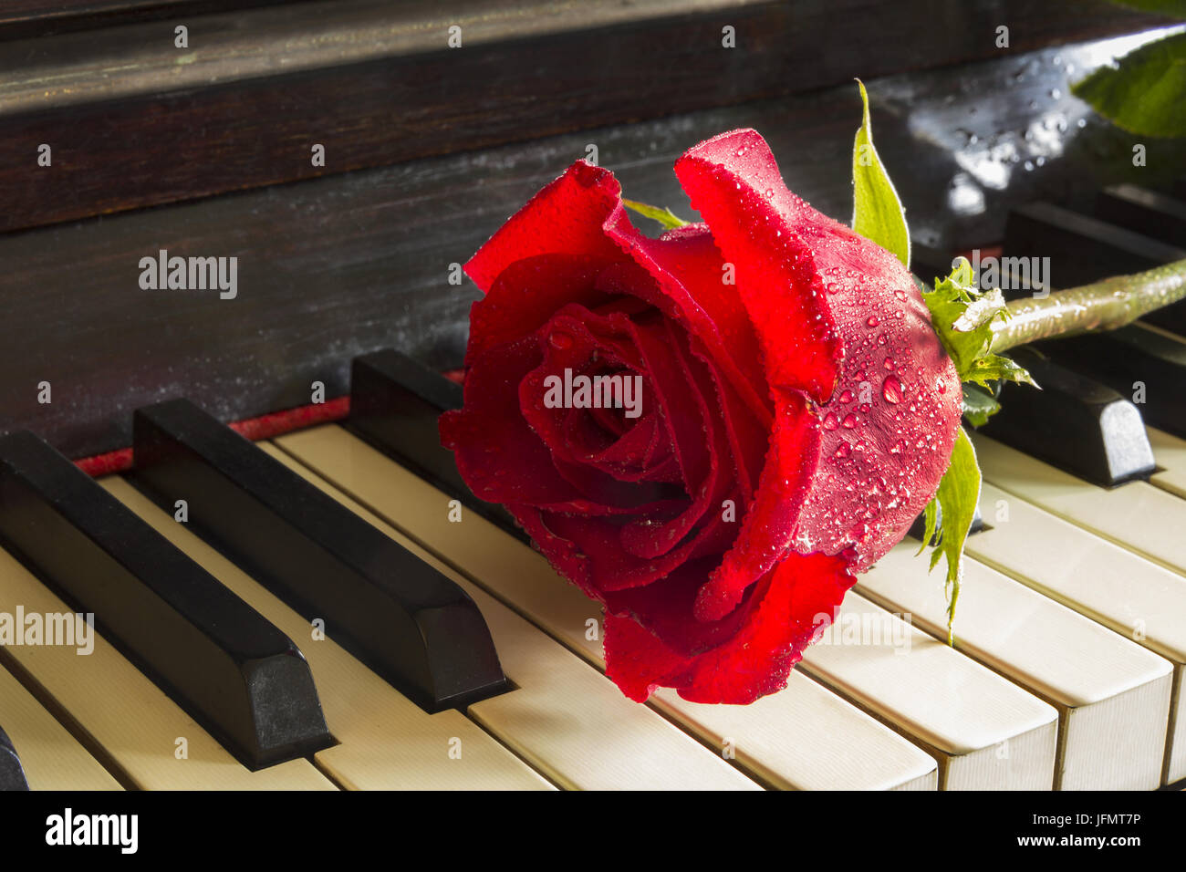 on piano keys Stock Photo Alamy