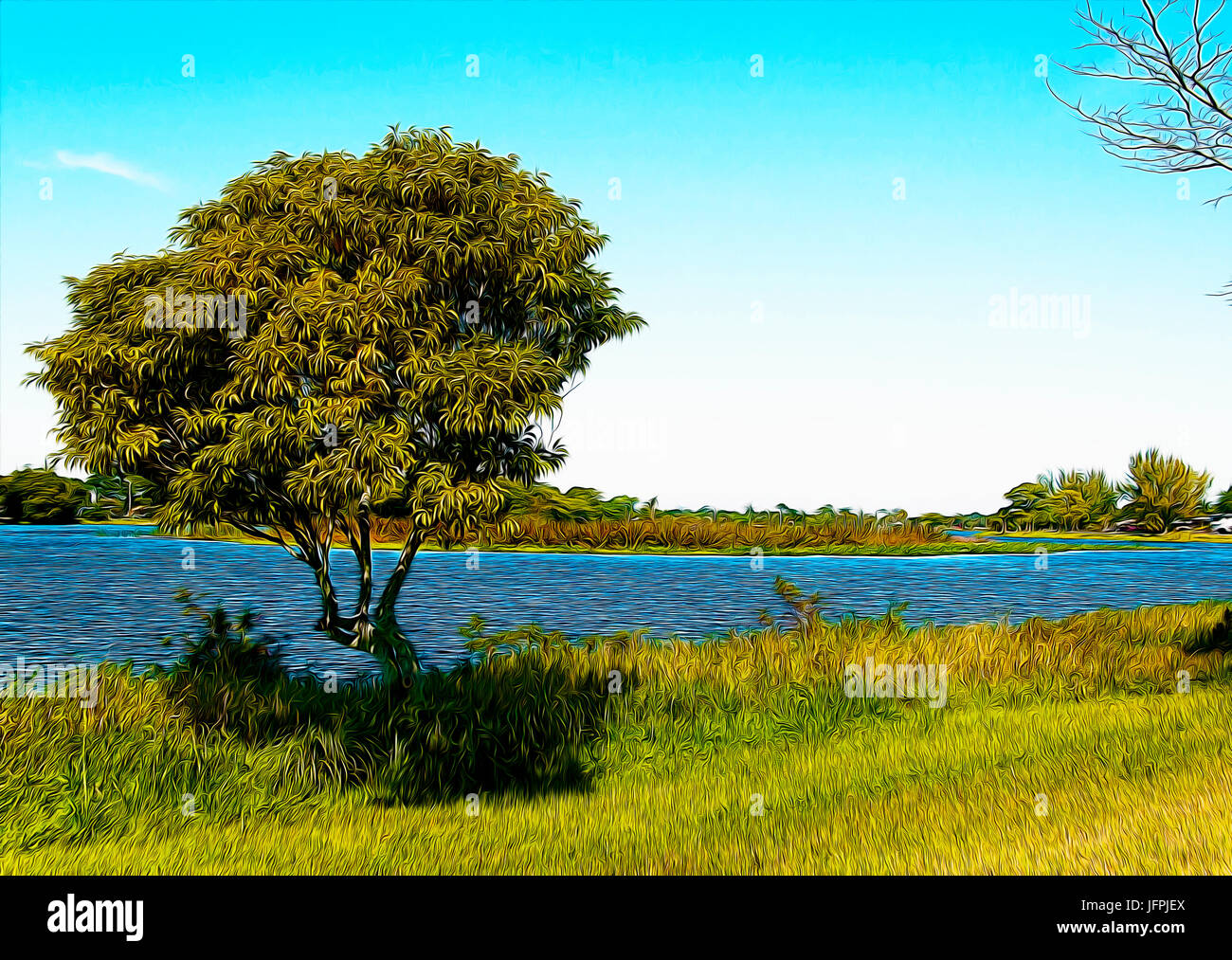 Lake osborne florida hires stock photography and images Alamy