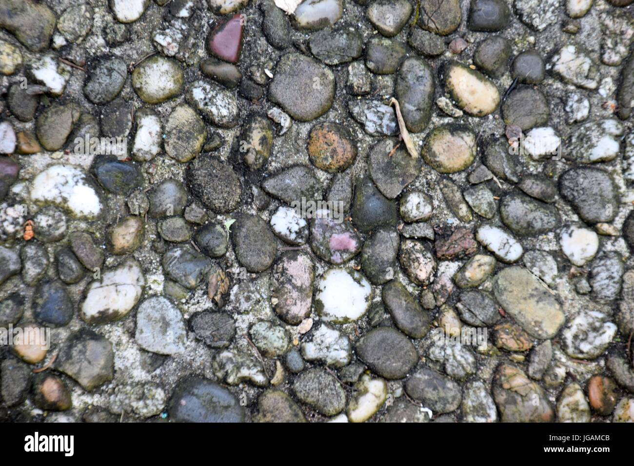 round stone path Stock Photo Alamy