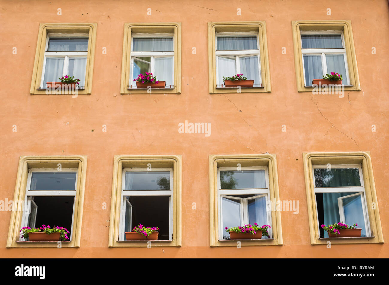 windows with flower pots Stock Photo Alamy