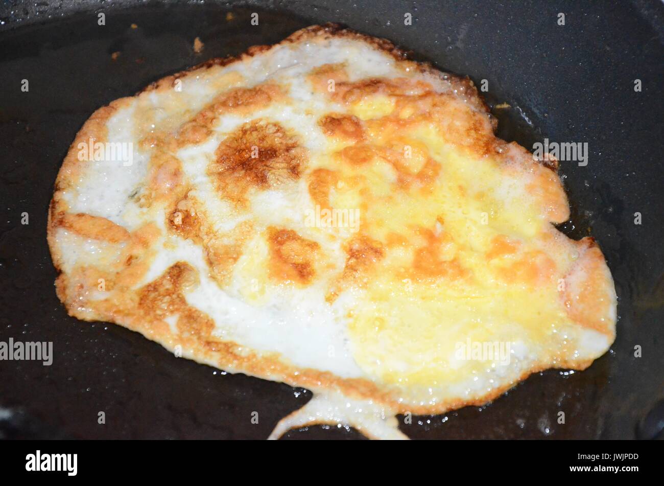 Salmonella bacteria hires stock photography and images Alamy