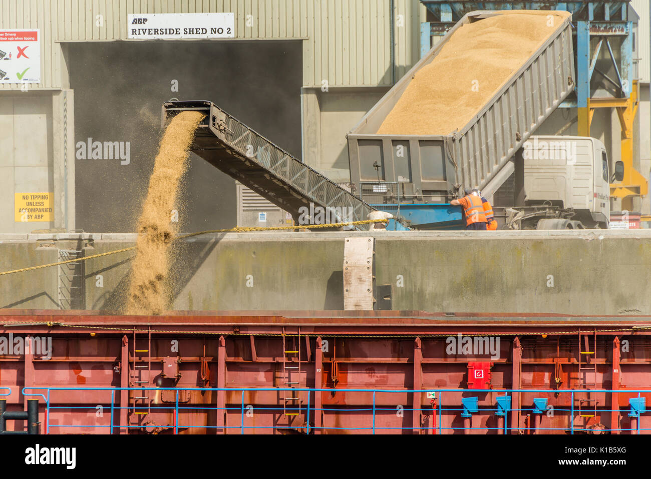 Grain loading for export Stock Photo Alamy