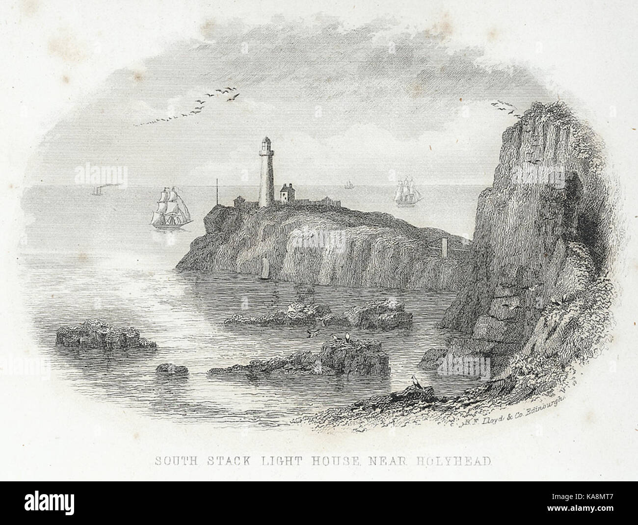 South Stack light house near Holyhead Stock Photo Alamy