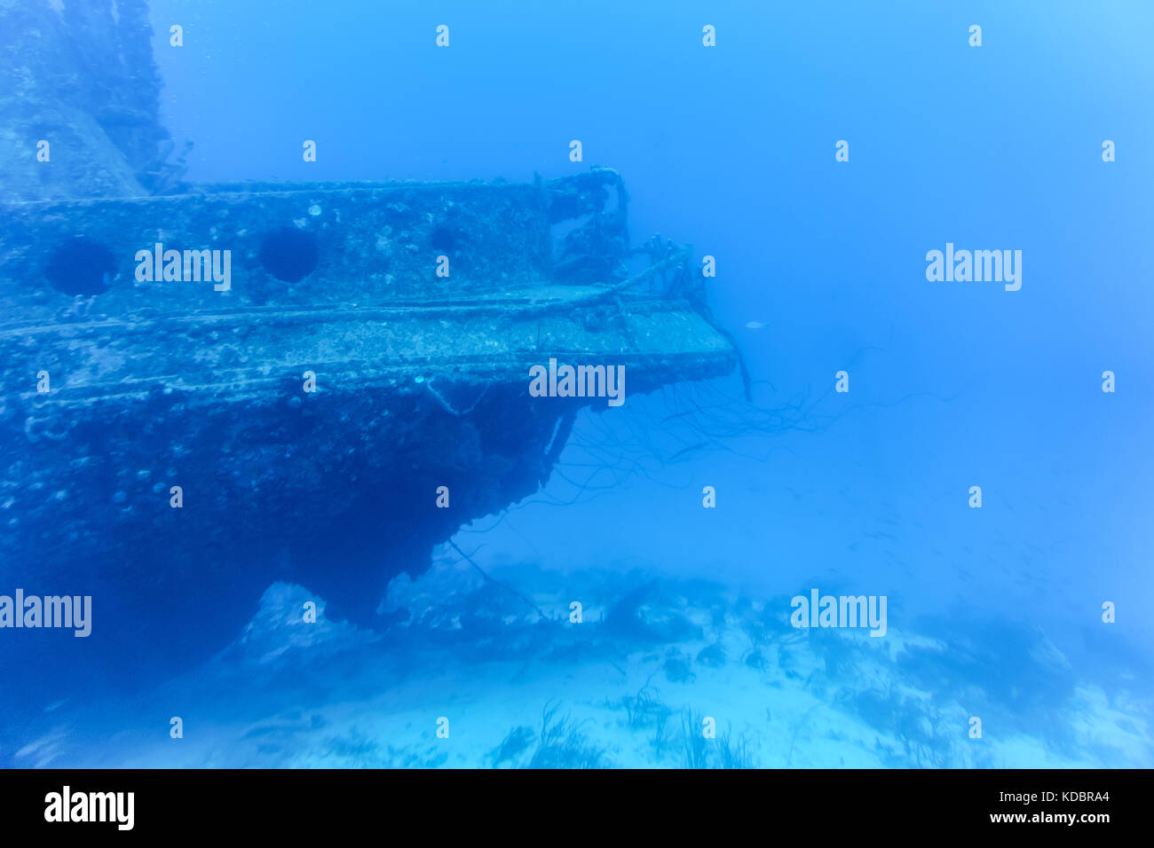 SUNKEN TREASURE SHIP Stock Photo Alamy