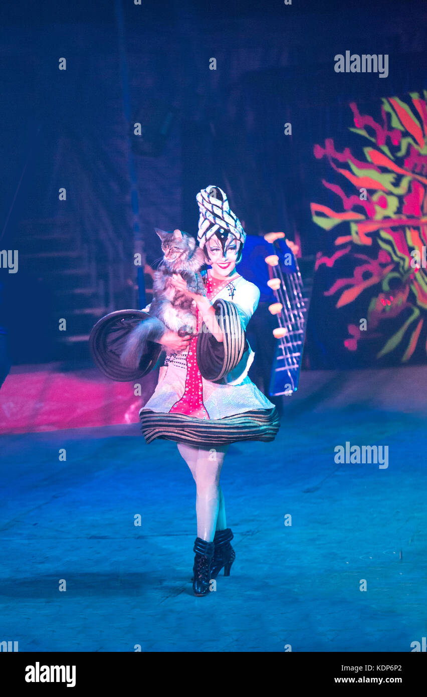 cat circu pet performance Stock Photo Alamy