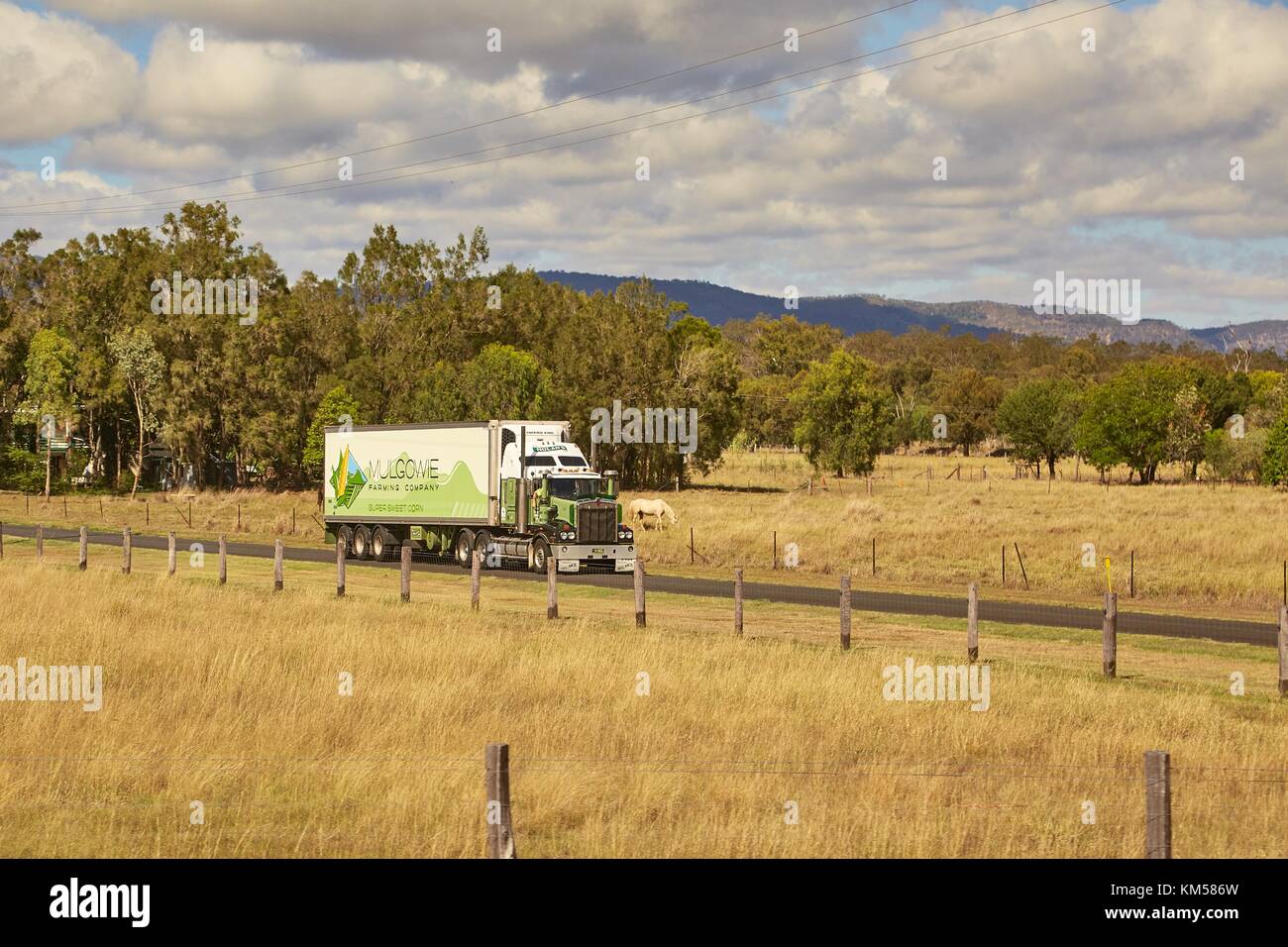 Truck on the road Stock Photo Alamy