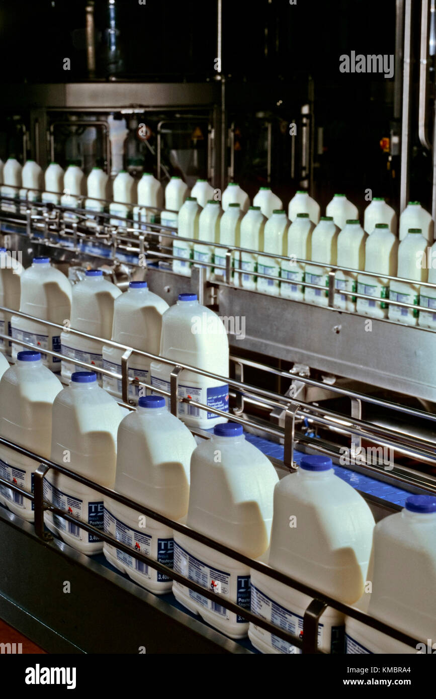 Milk processing plant Stock Photo Alamy