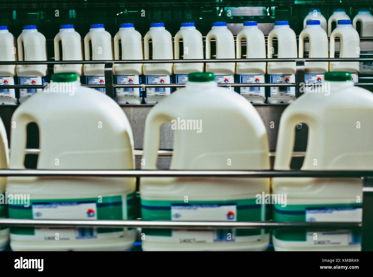 Milk processing plant Stock Photo Alamy