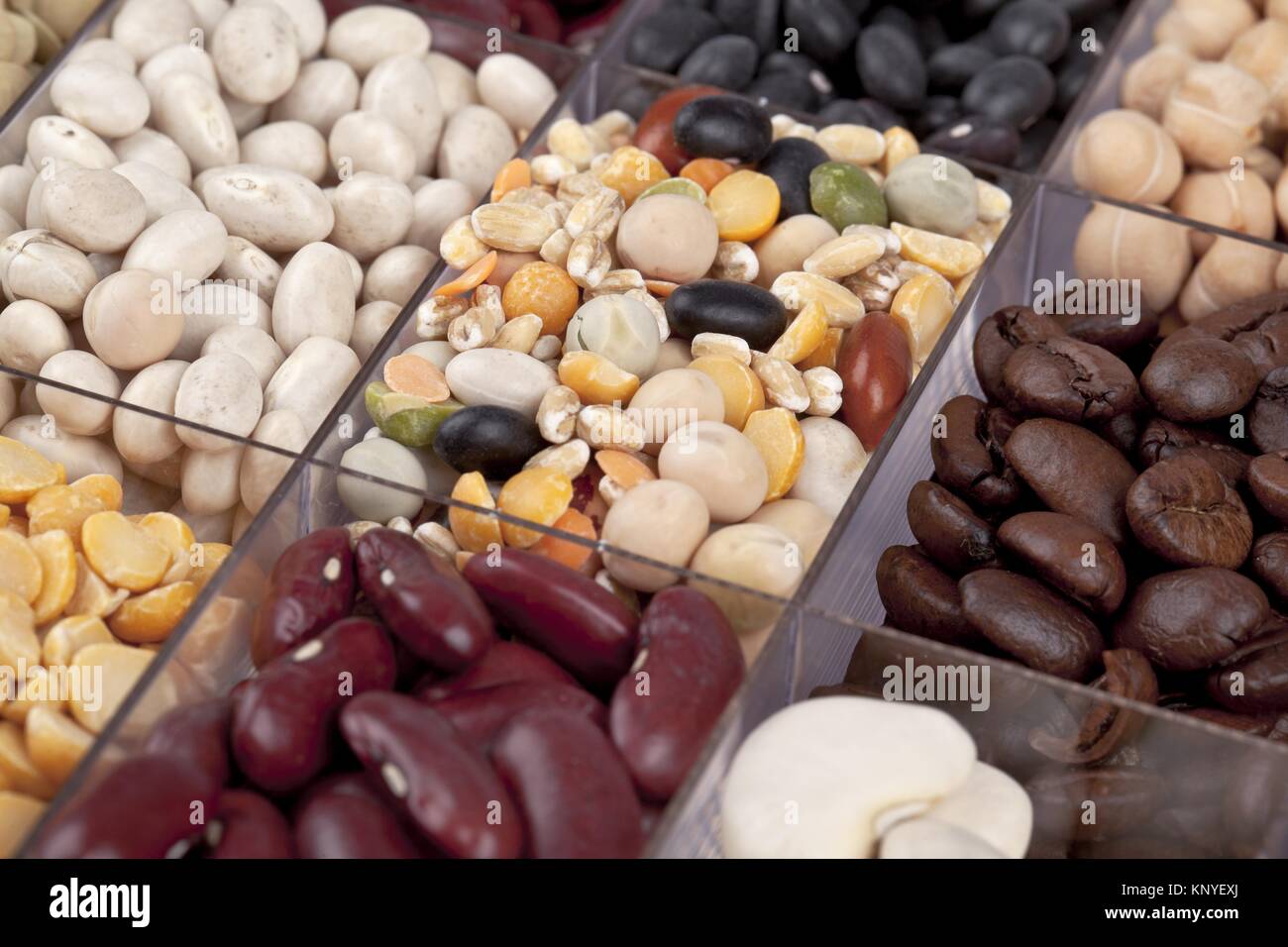 beans in macro Stock Photo Alamy