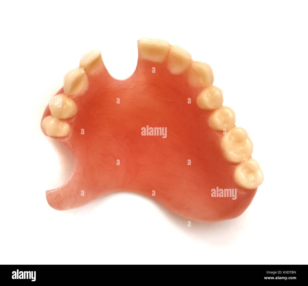 Upper partial denture Stock Photo Alamy