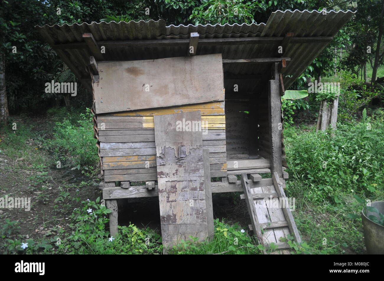 old chicken coop Stock Photo Alamy