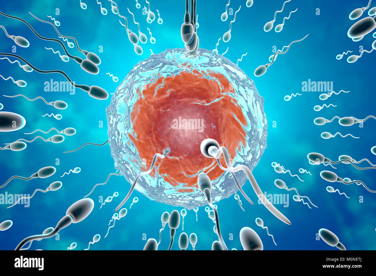 Insemination, 3D Rendering Stock Photo Alamy