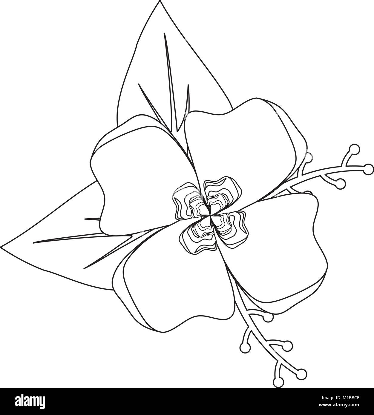 rustic floral design Stock Vector Image & Art Alamy