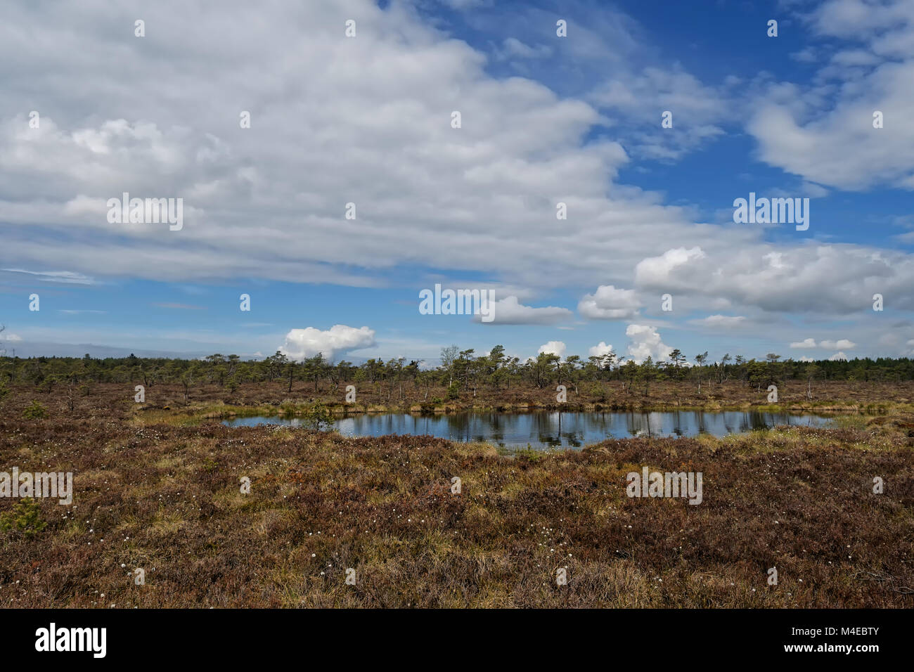 Black moor hires stock photography and images Alamy