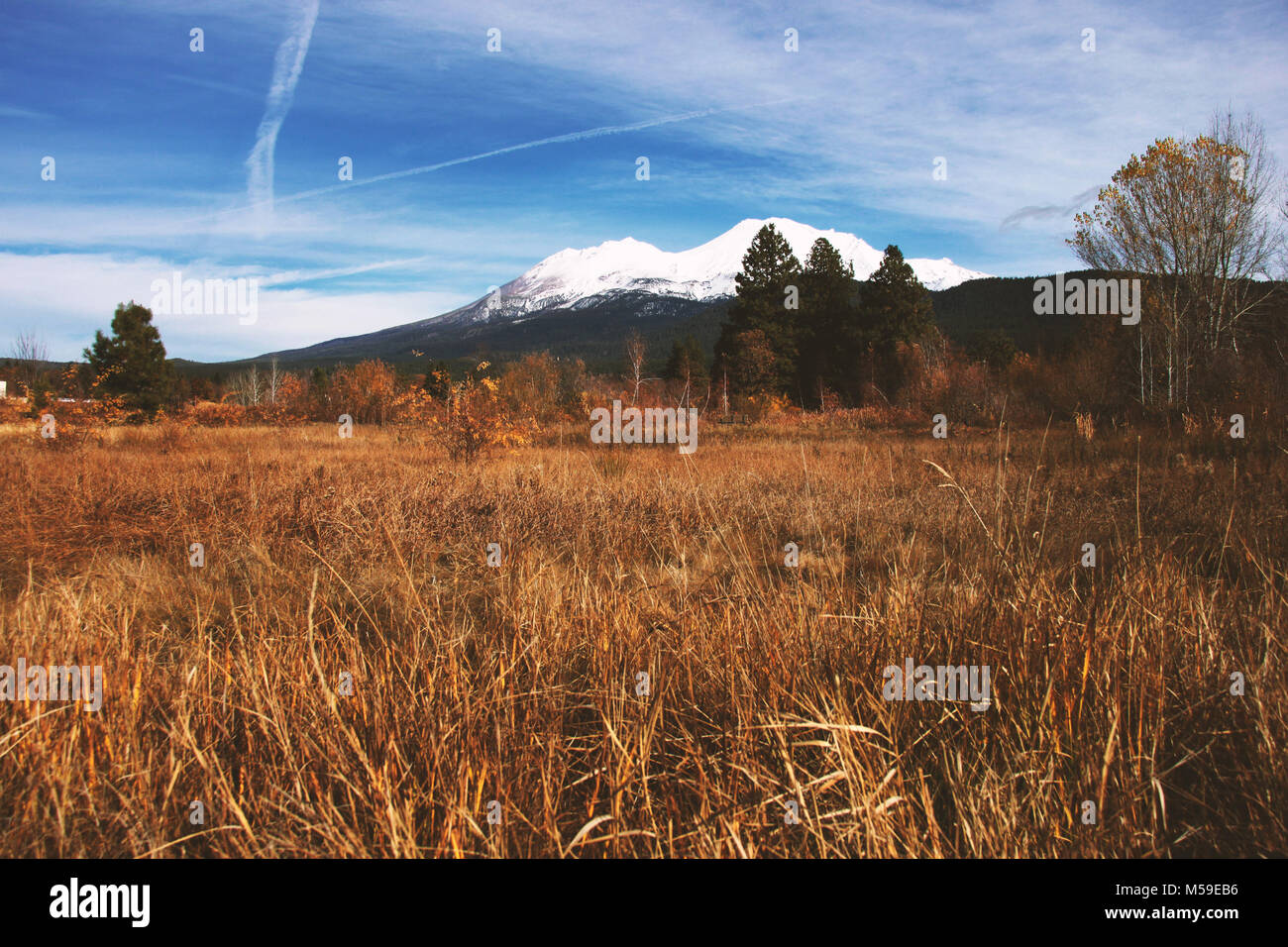 Mt shasta forest hires stock photography and images Alamy