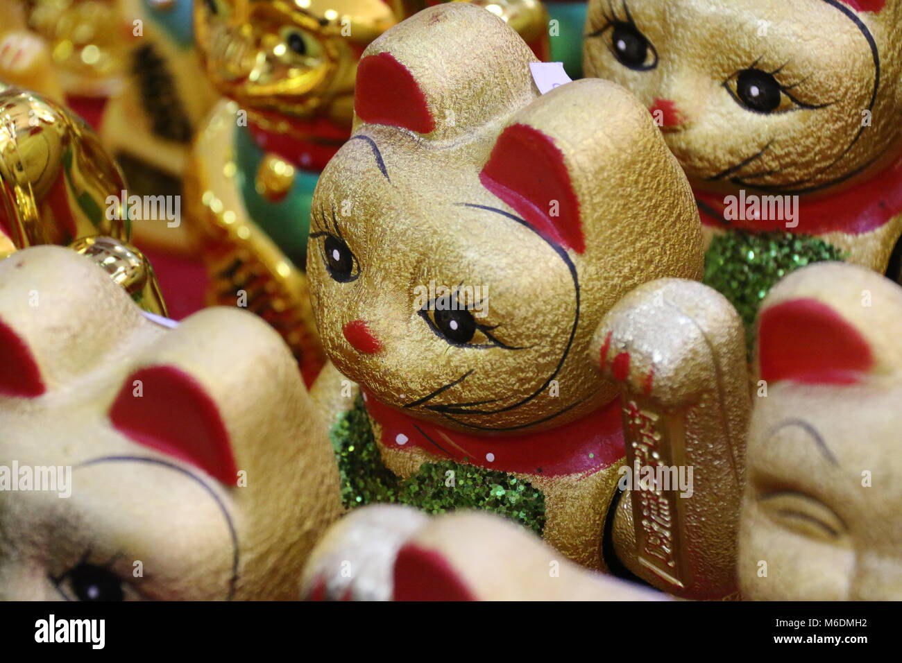 Good luck cat hires stock photography and images Alamy