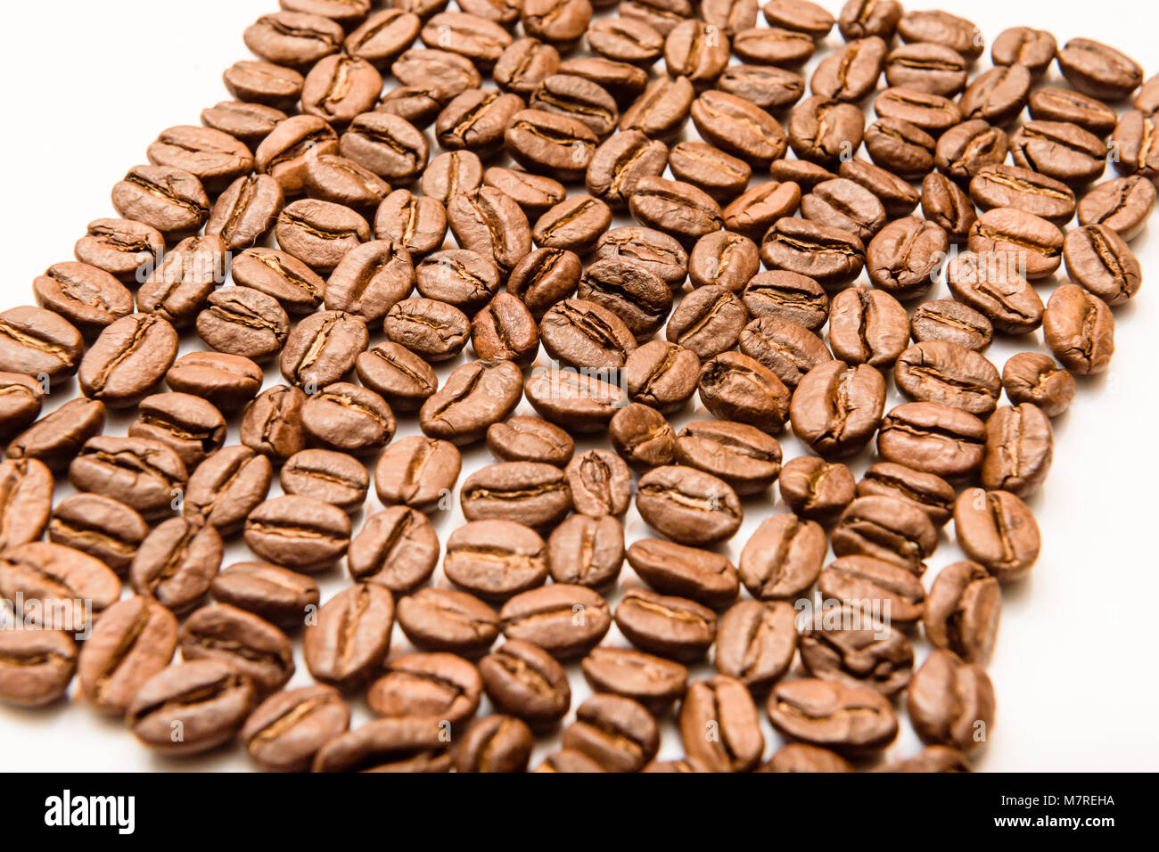 Yemen coffee bean hires stock photography and images Alamy