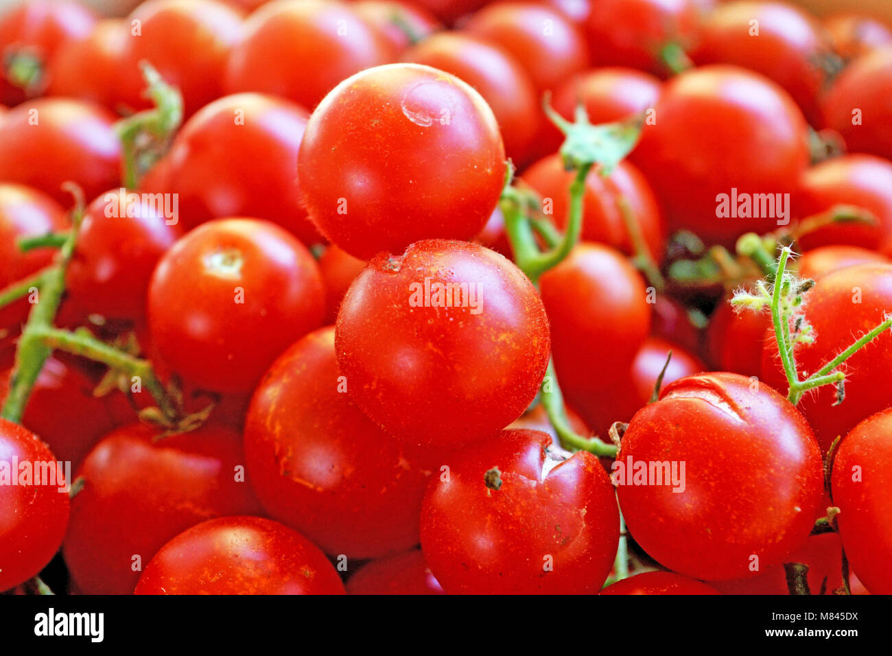 Bio organic product tomato hires stock photography and images Alamy