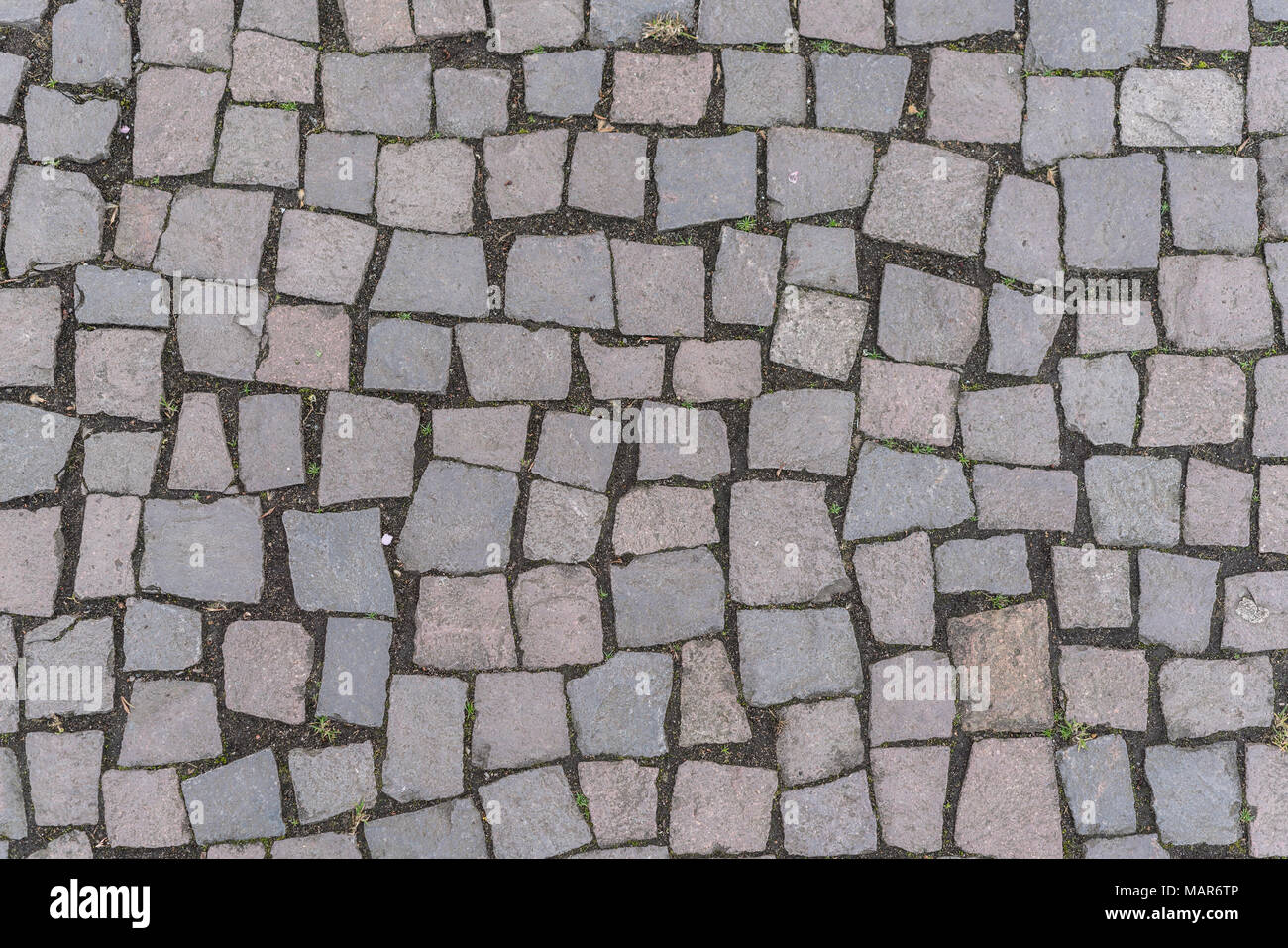 Cobblestone floor high resolution texture Stock Photo Alamy