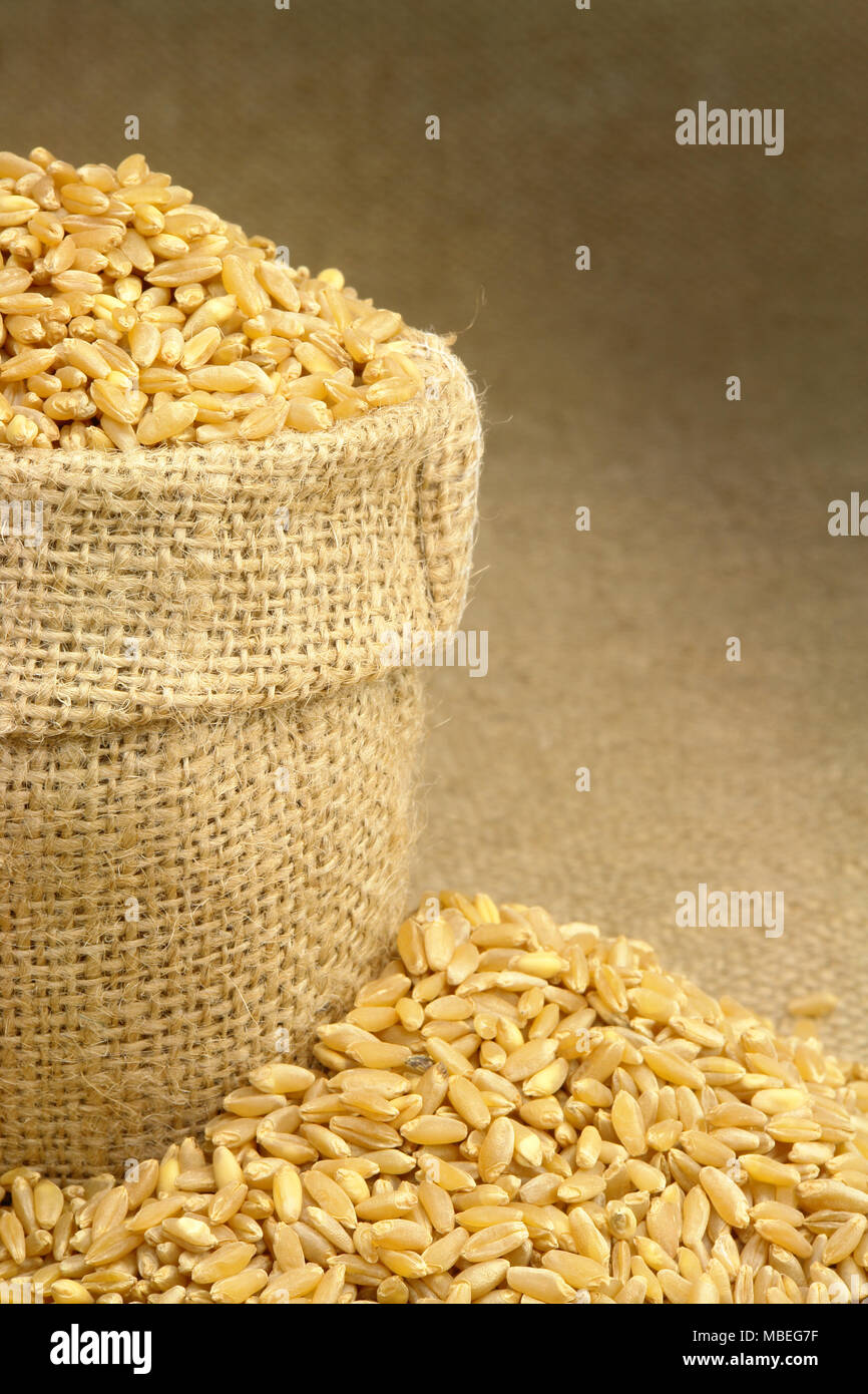 Wheat in Bag Stock Photo Alamy