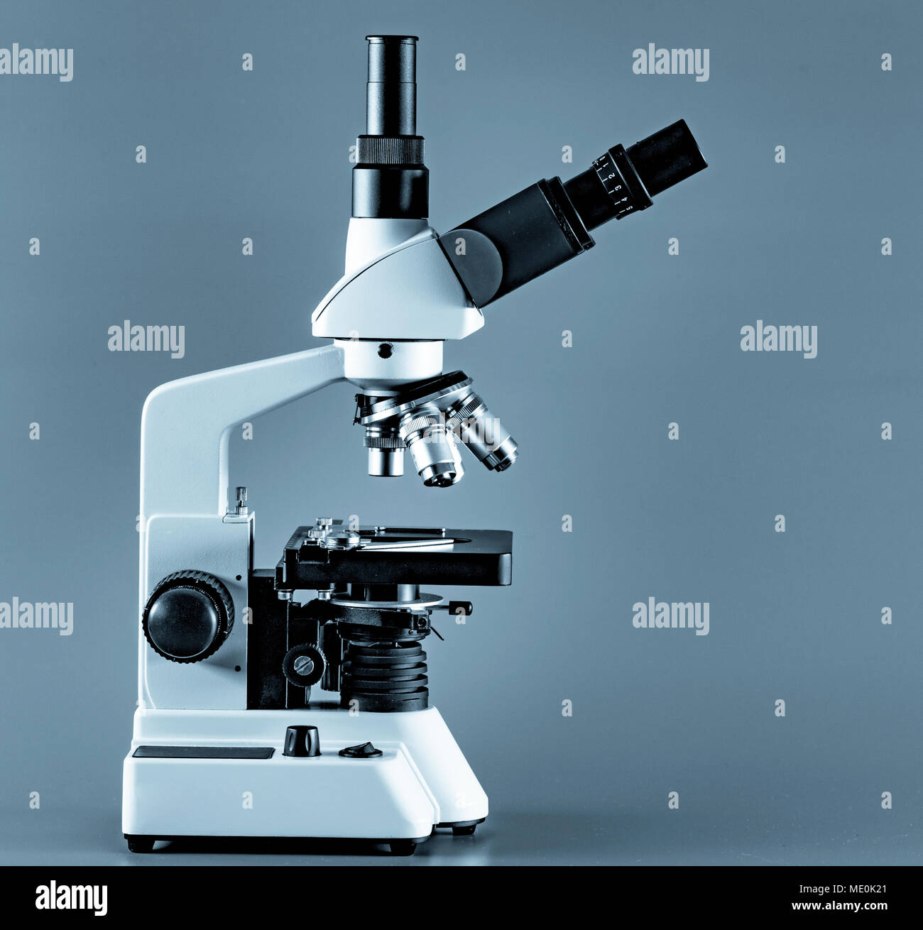 Light Microscope Bacteria High Resolution Stock Photography and Images