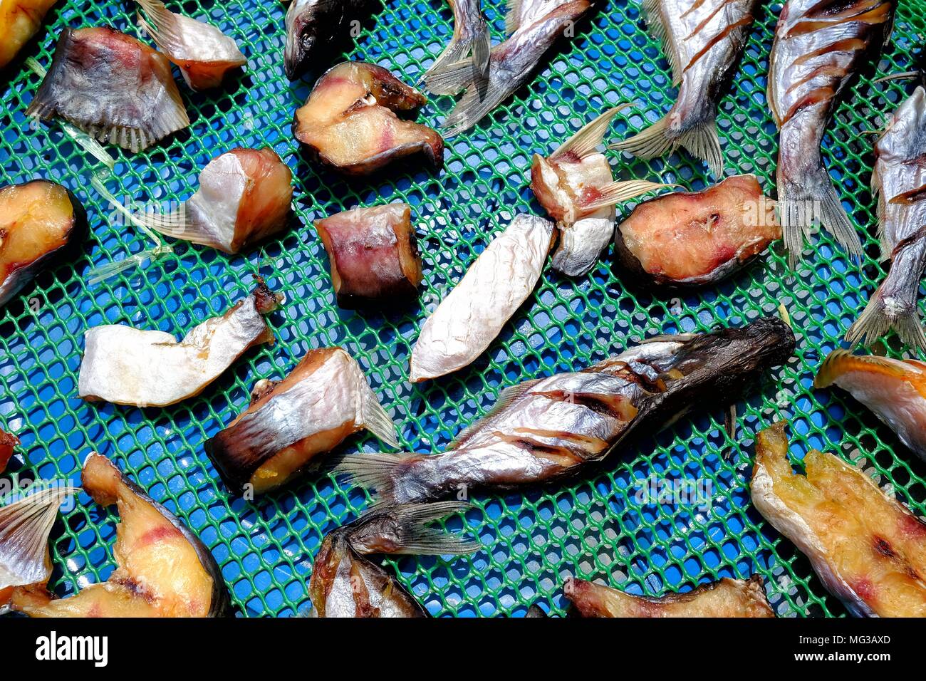 Method preservation hires stock photography and images Alamy