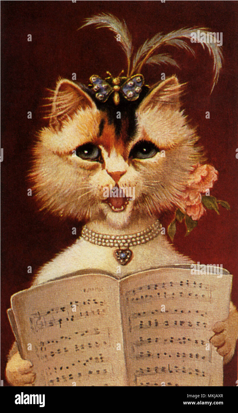 Cat cat music sheet hires stock photography and images Alamy