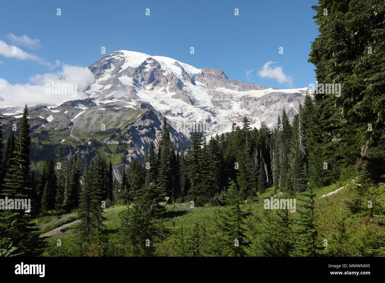 Mount Rainier 2 Stock Photo Alamy