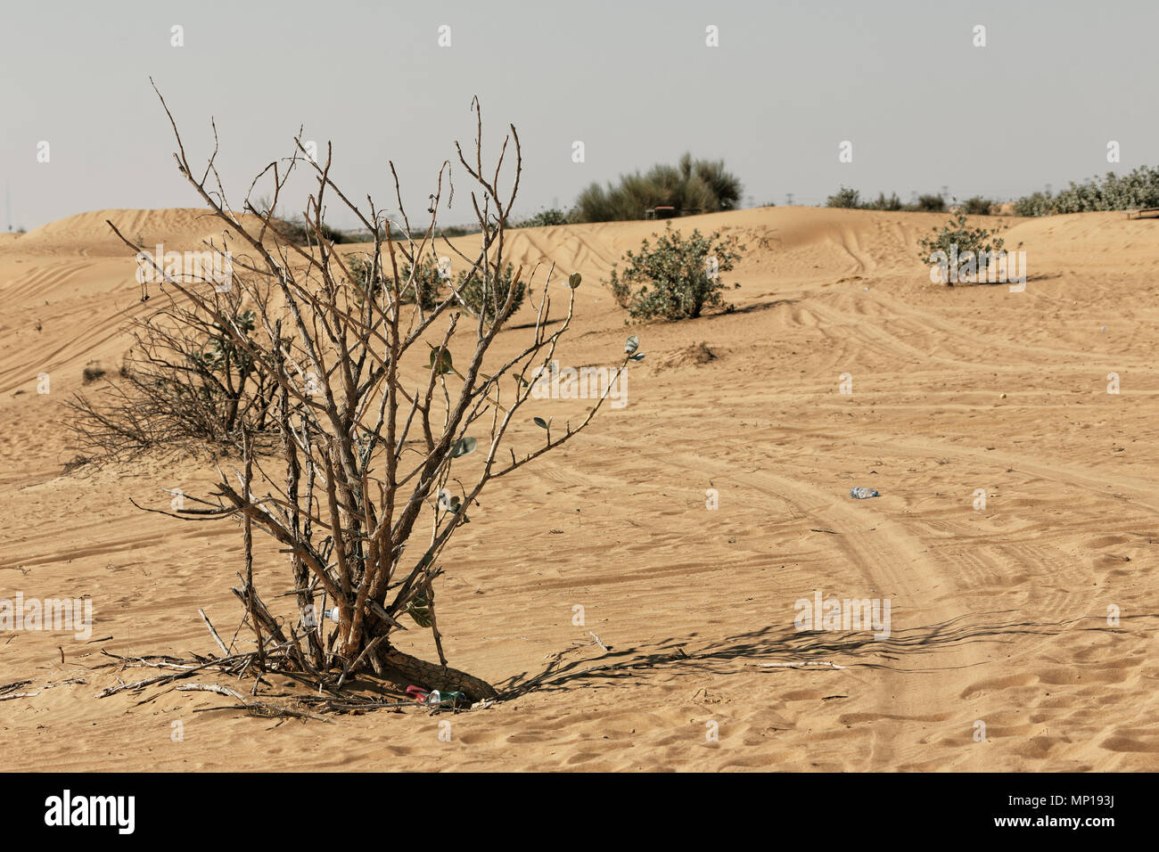 Pollution water dubai hires stock photography and images Alamy
