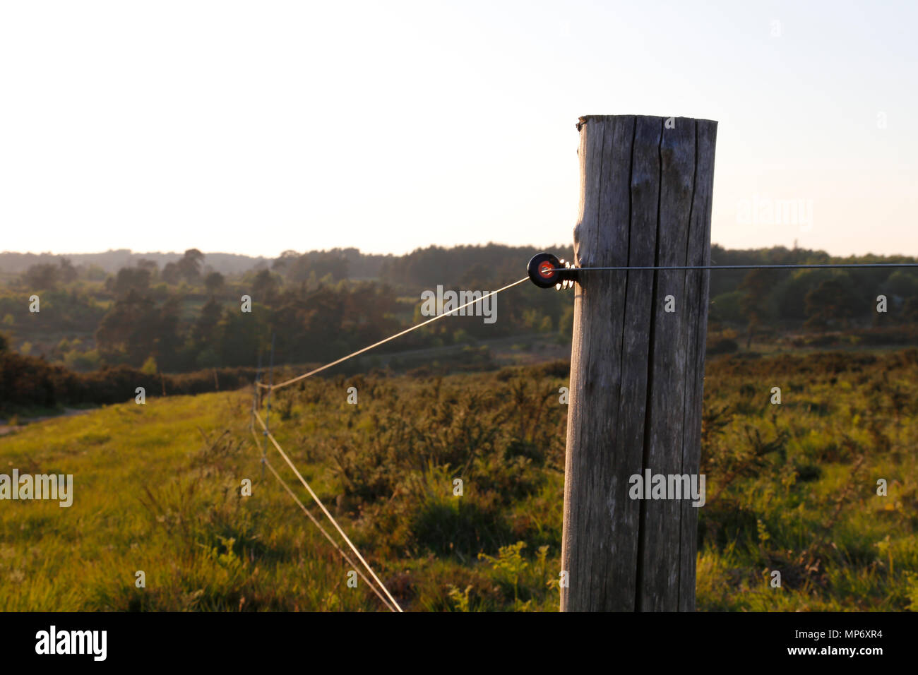 Post sun hires stock photography and images Alamy