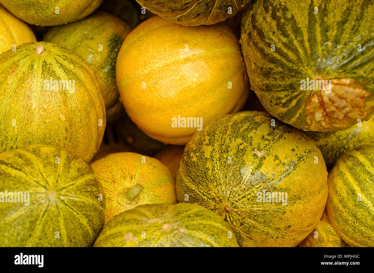 Spanish melons hires stock photography and images Alamy