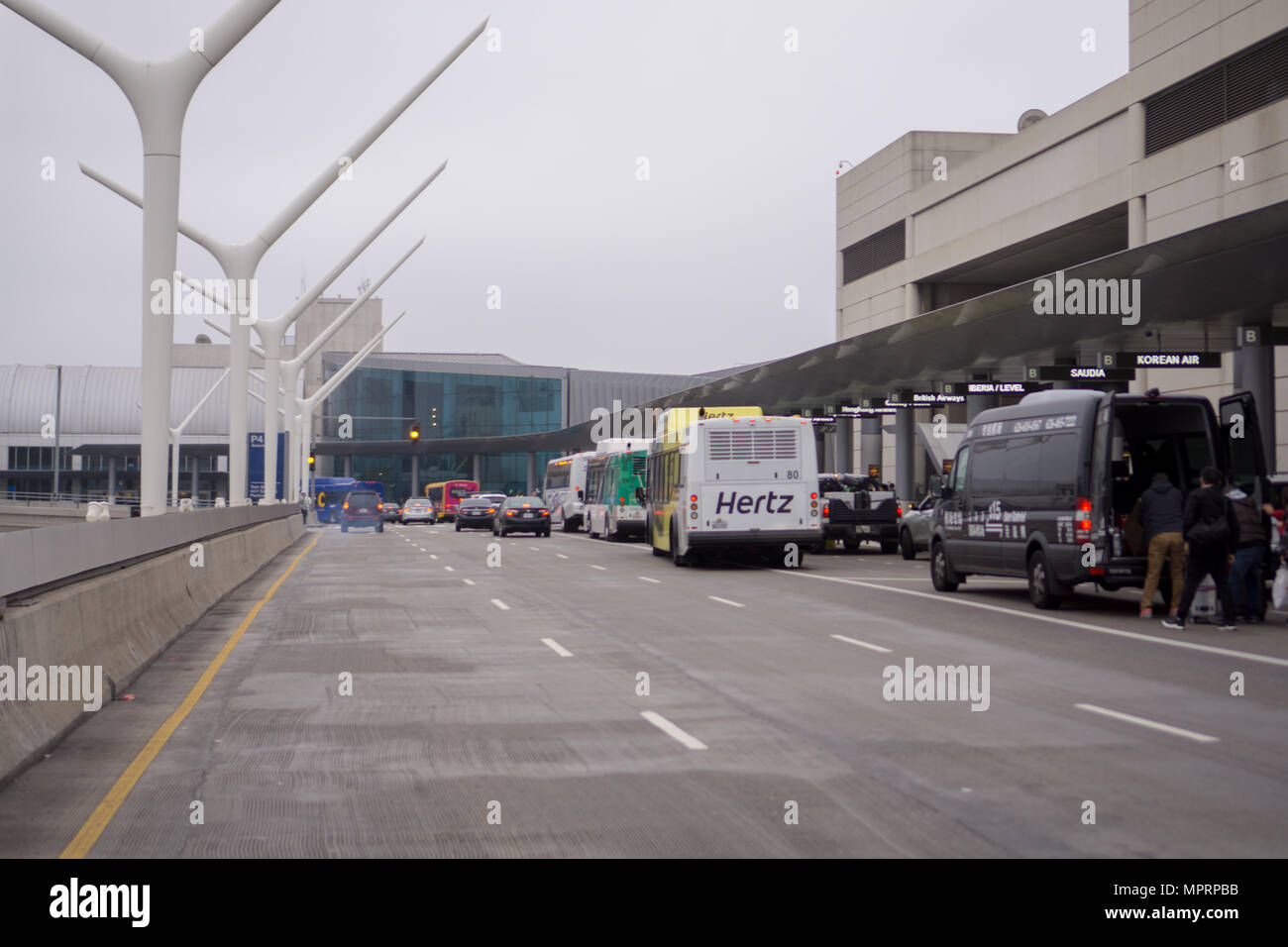 Are Dogs Allowed At Lax Arrivals