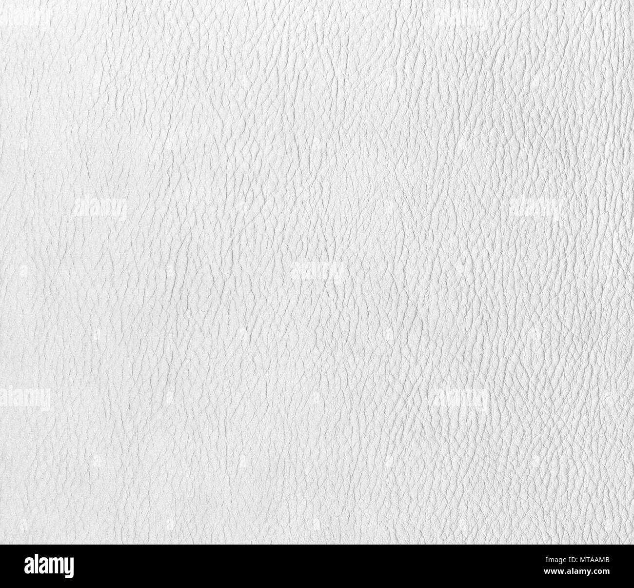 White leather texture background Stock Photo Alamy