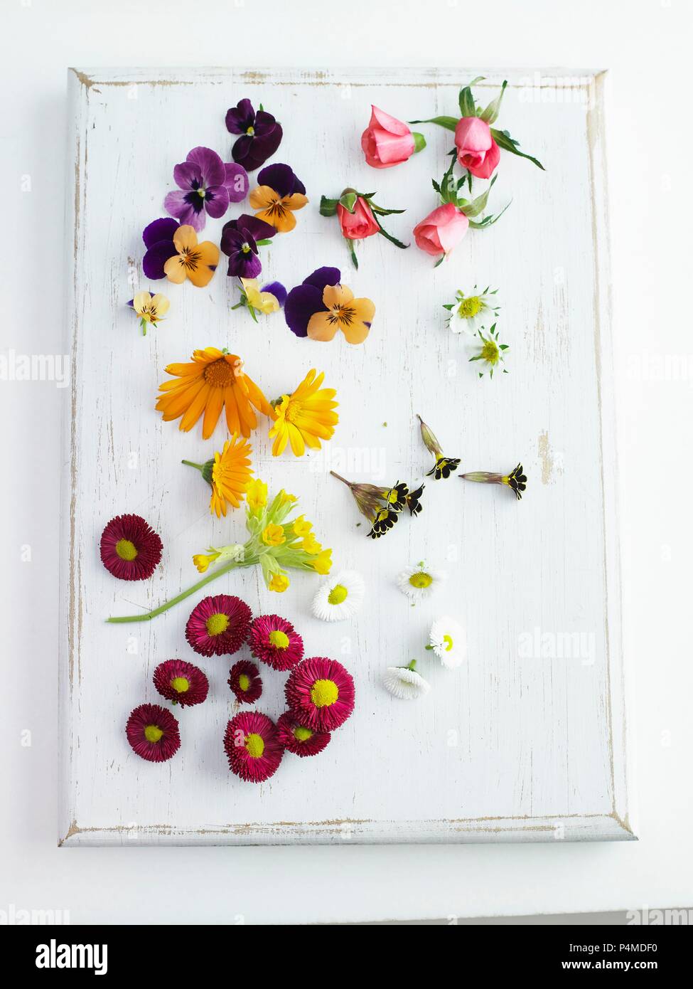 Assorted edible flowers Stock Photo Alamy