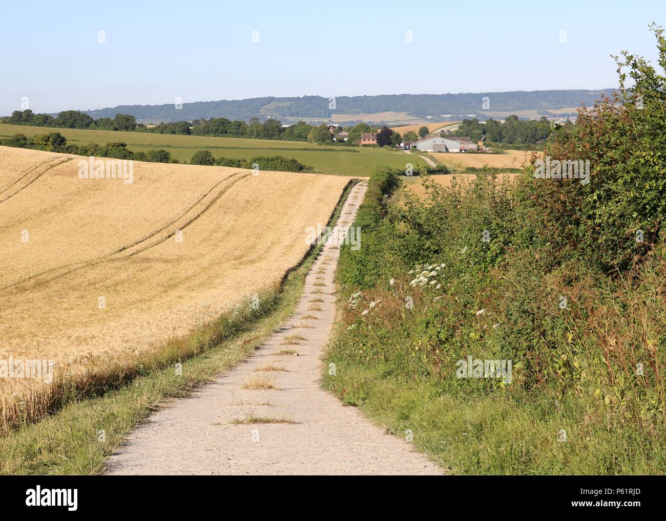 Cornfield cornfields hires stock photography and images Alamy