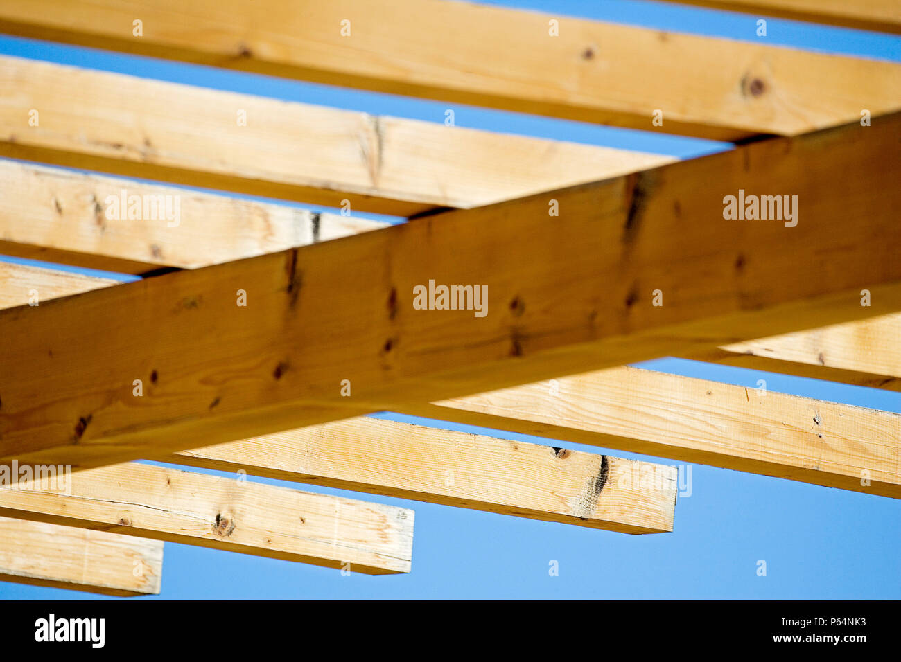 Pine Timber Structure Stock Photo Alamy