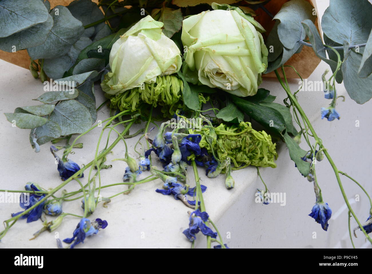 Remembering Dead Stock Photos & Remembering Dead Stock Images Alamy