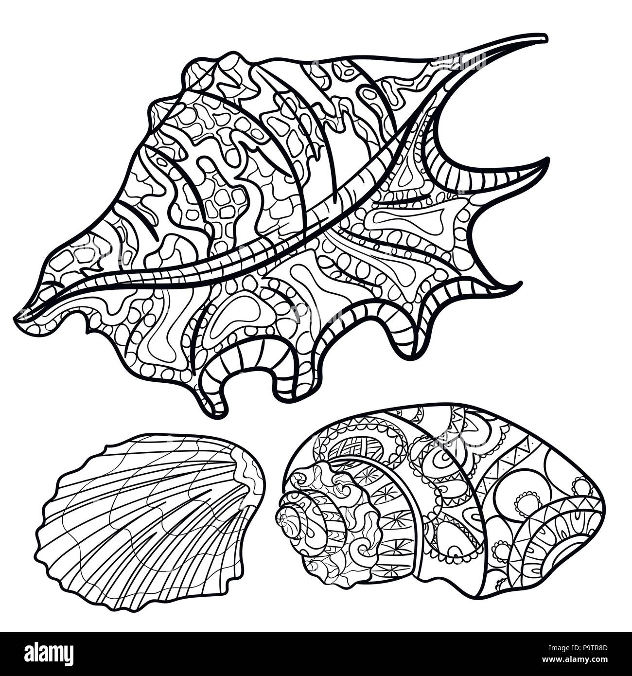 Seashell Coloring Pages