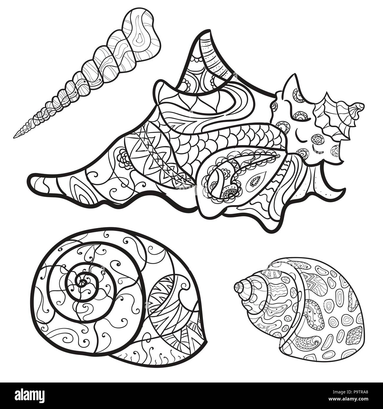 Coloring Pages Of Seashells