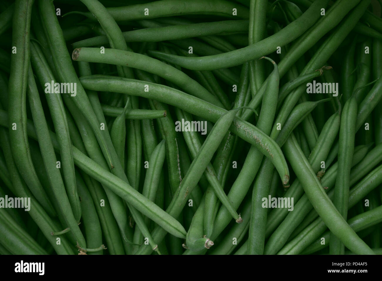 preparing fine green beans Stock Photo Alamy