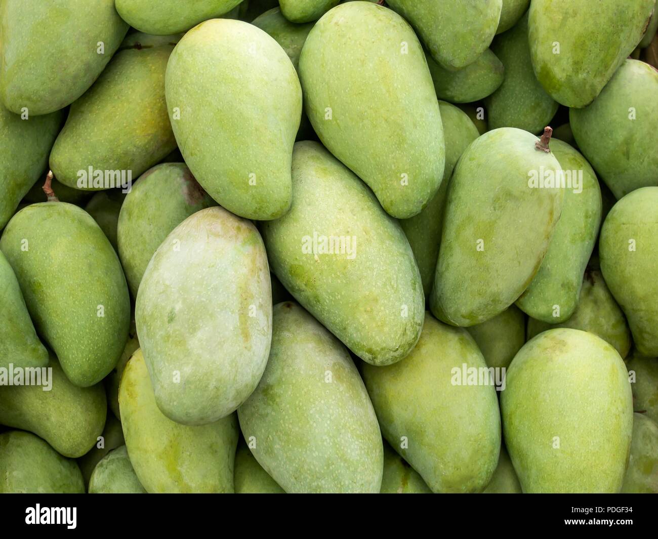 Green mango background Stock Photo Alamy