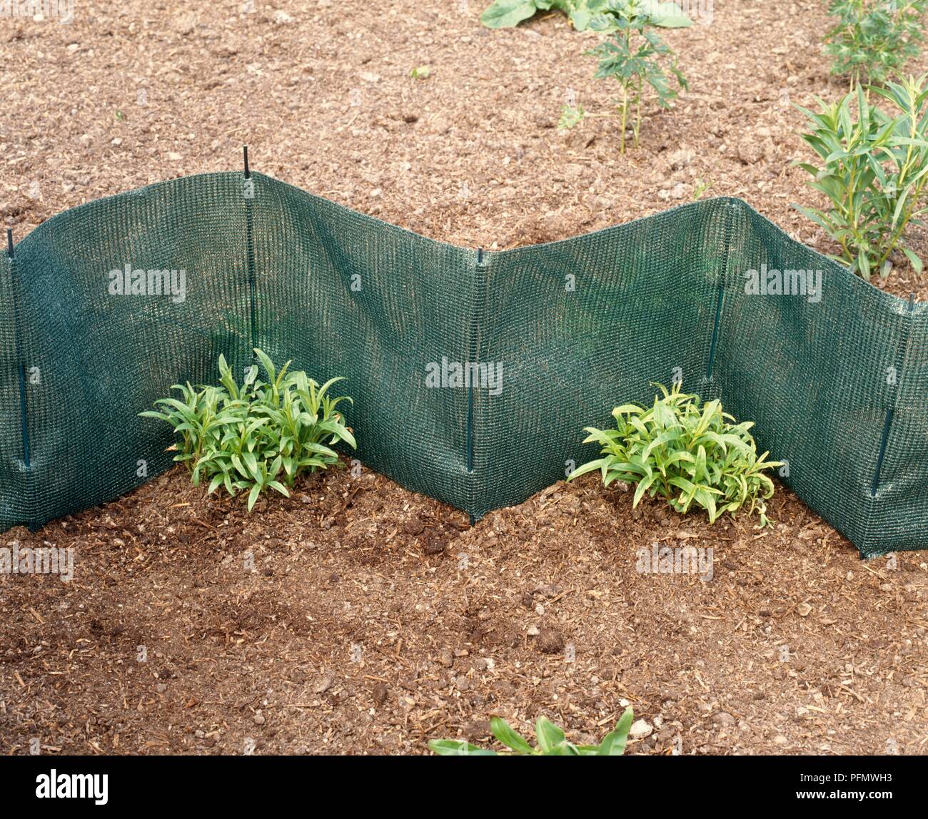 Windbreak netting hires stock photography and images Alamy