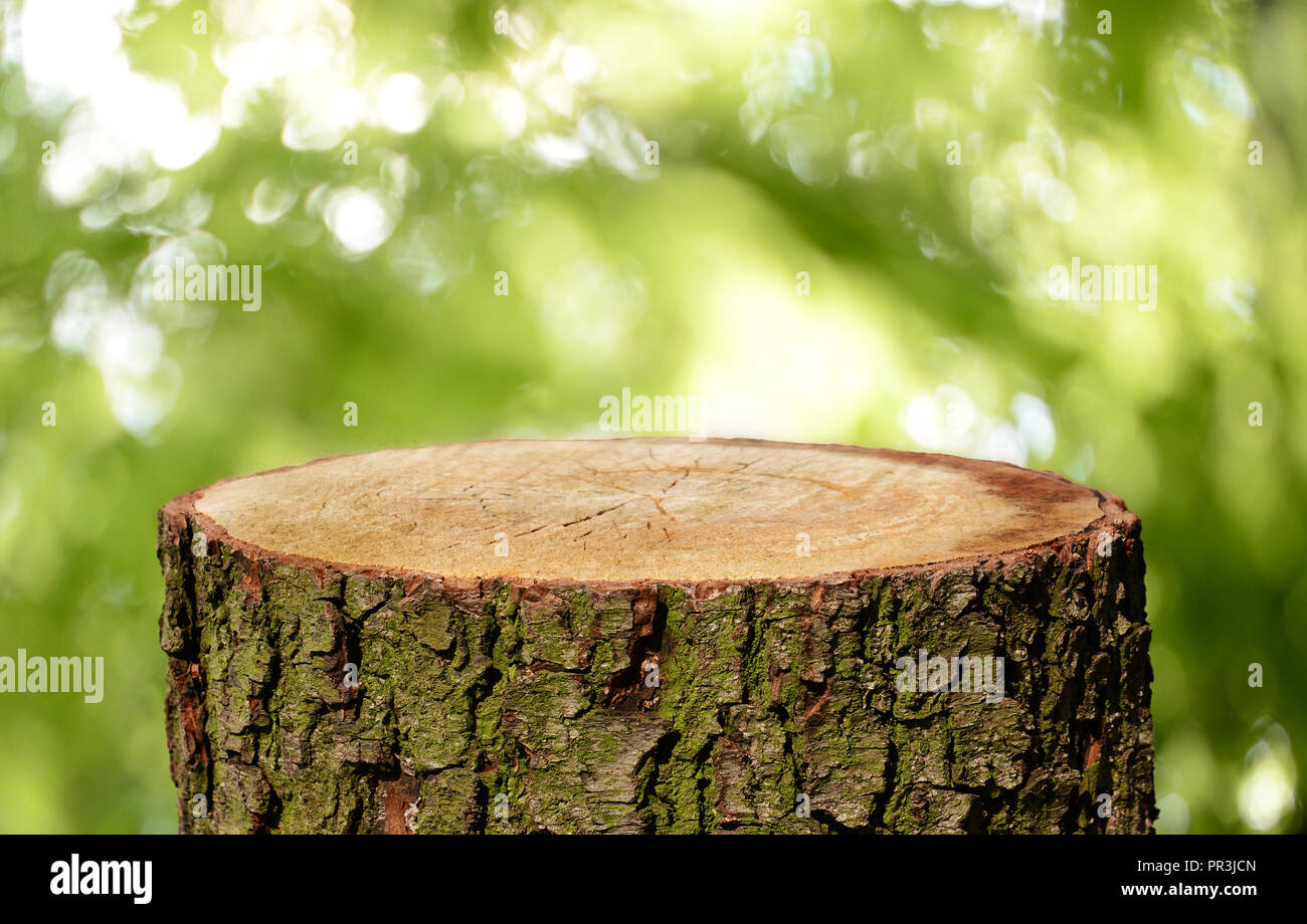 Tree trunk background Stock Photo Alamy