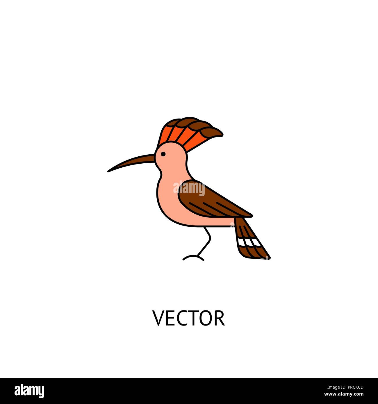 Hoopoe bird icon Stock Vector Image & Art Alamy