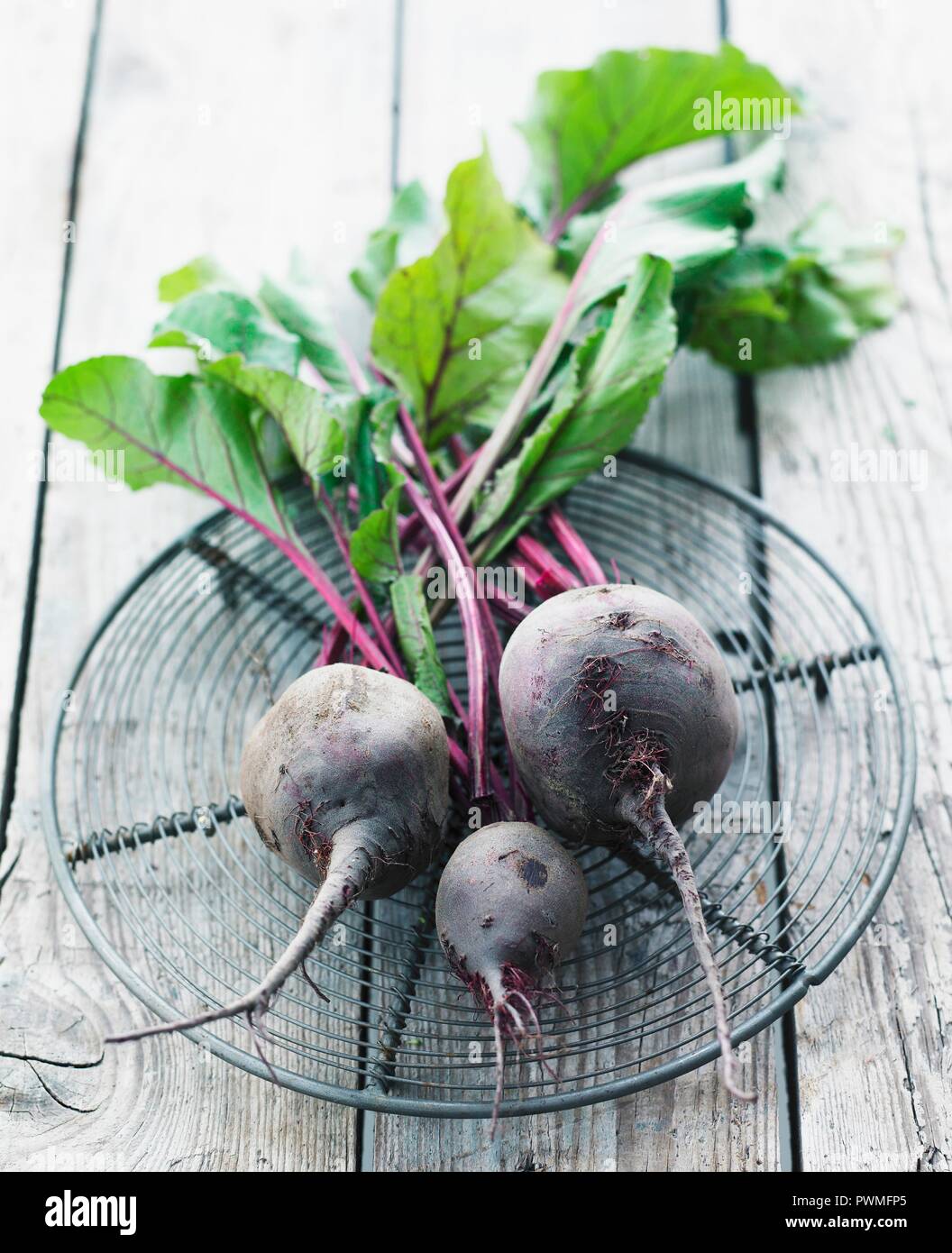 Beetroot with leaves Stock Photo Alamy
