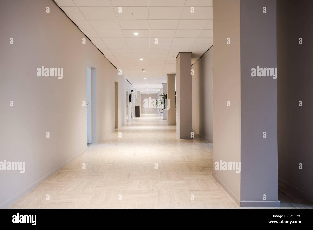 Long office hallway modern design, empty and clean interior Stock Photo