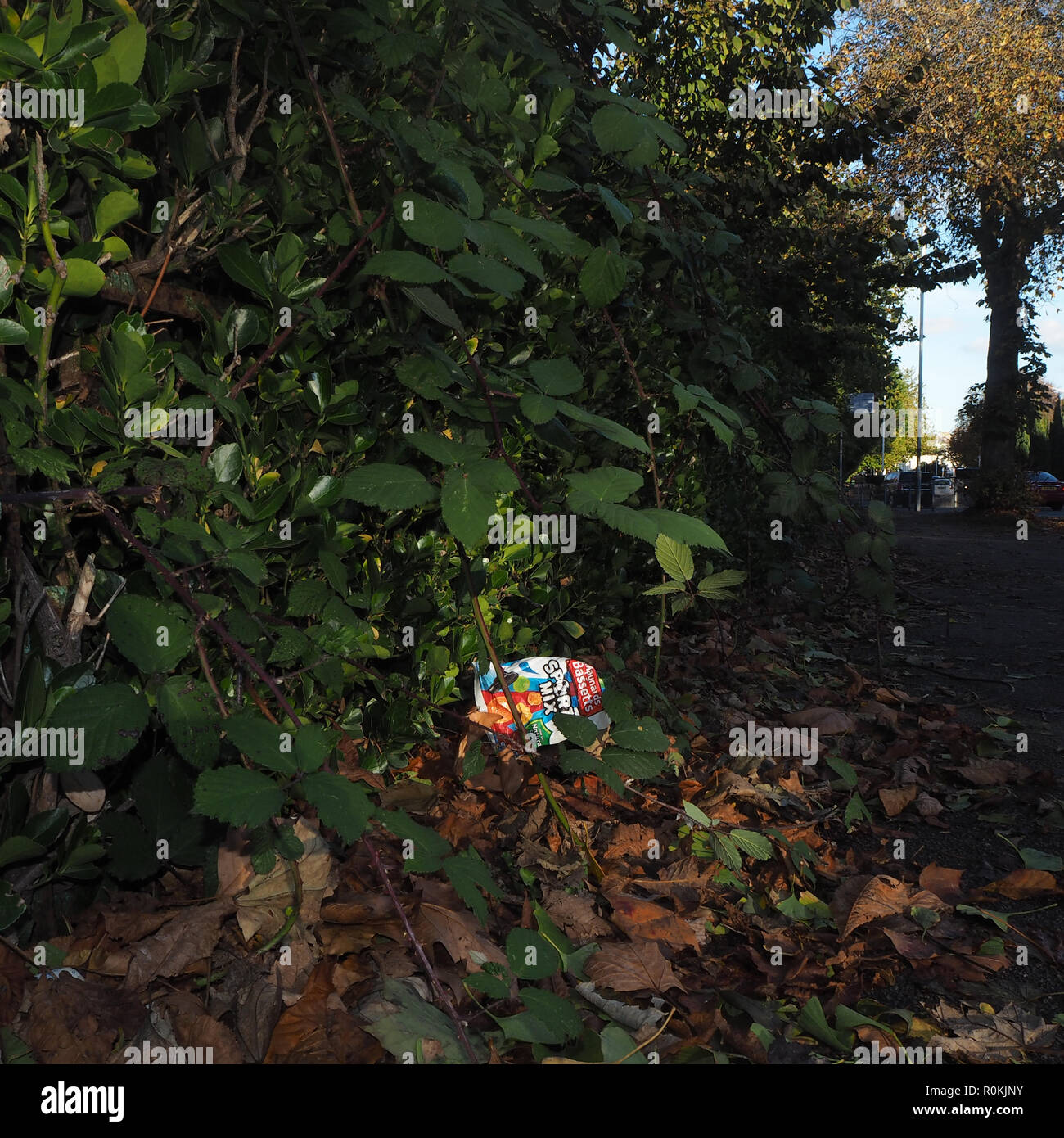 Throw away camera hires stock photography and images Alamy