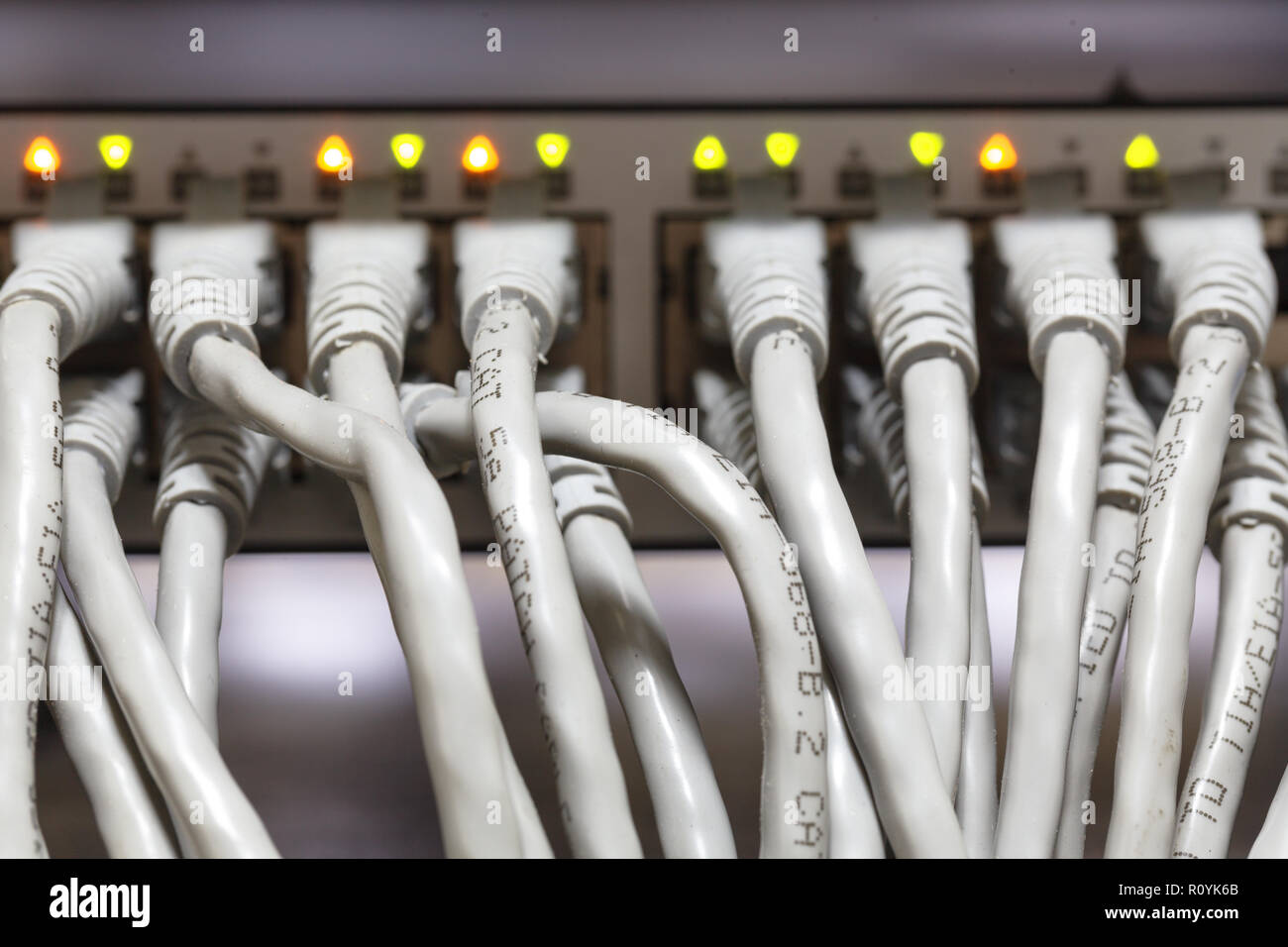 ethernet cables connected to switch Stock Photo - Alamy